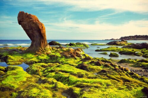 Du lich phan thiet 1536x1018