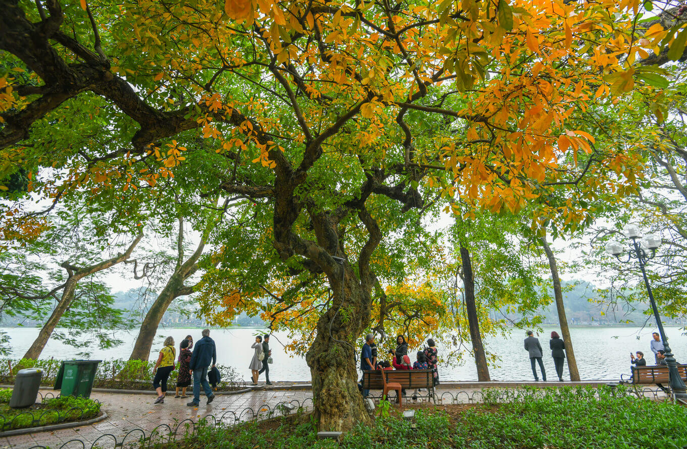 Di du lich ha noi mua nao dep nhat trong nam 5f579402574e3