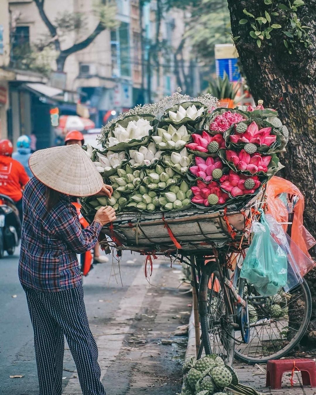 Halo.vietnam 116721278 337841330579492 4543738923602191744 n