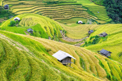 Cảnh đẹp 5