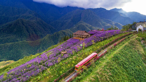 Thung lũng mường hoa
